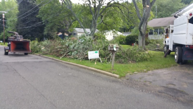 Bear Brook - East Windsor, NJ