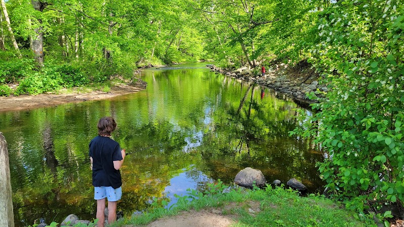 Charlie Brown Campground - Eastford, CT