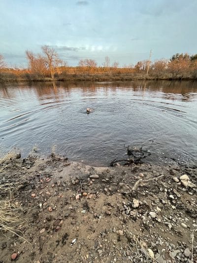 Southwest Dog Park - Eau Claire, WI