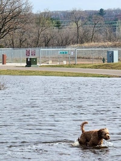 Southwest Dog Park - Eau Claire, WI