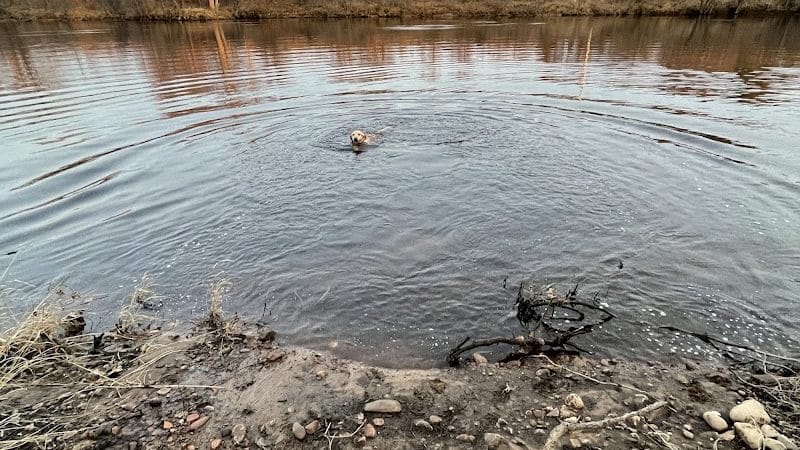 Southwest Dog Park - Eau Claire, WI
