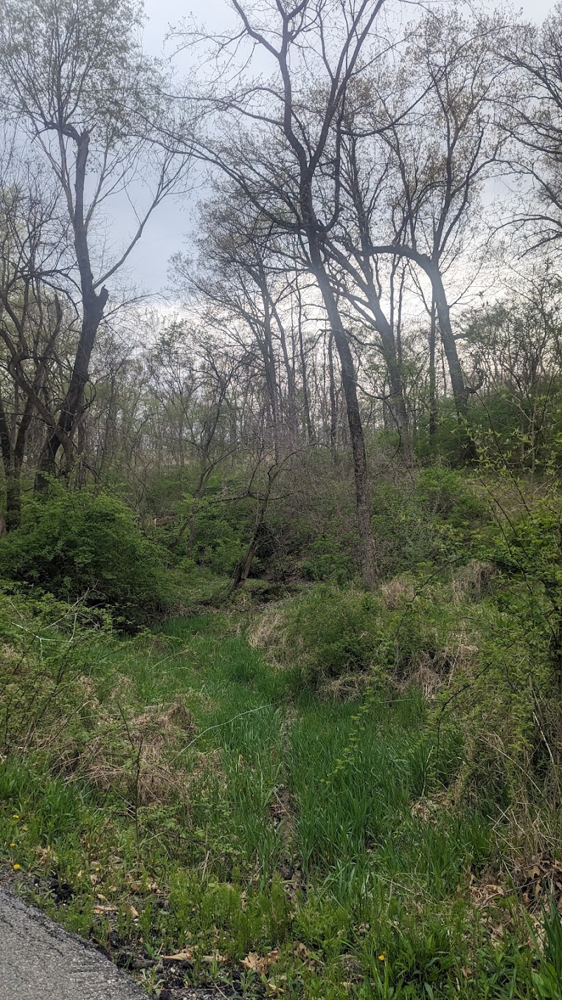 Sommer Park North - Edwards, IL