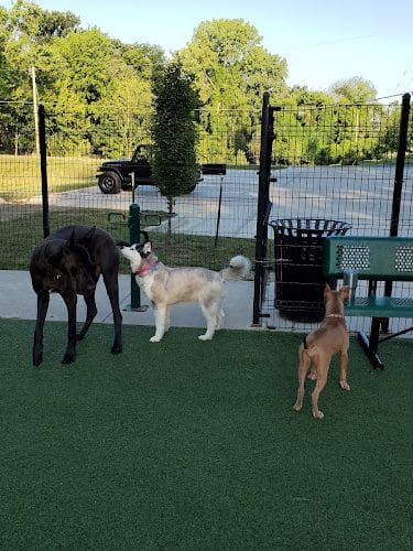 Brent Leh Dog Park