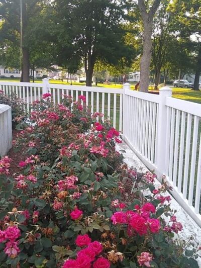 Bliss Park - Effingham, IL