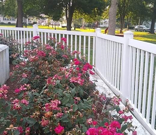 Bliss Park - Effingham, IL