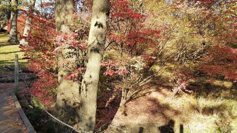 Evergreen Hollow Park - Effingham, IL