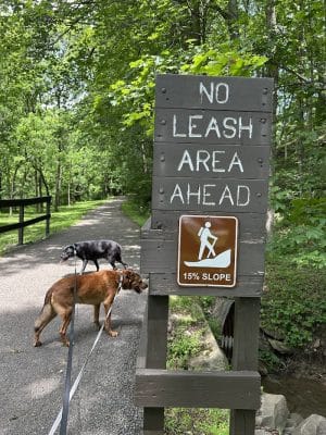 Mingo Creek Dog Park
