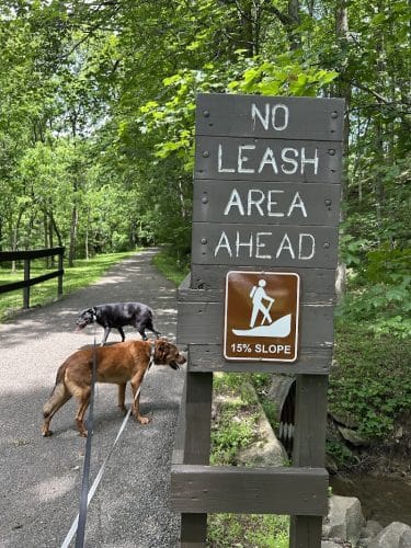 Mingo Creek Dog Park
