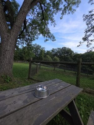 Mingo Creek Dog Park