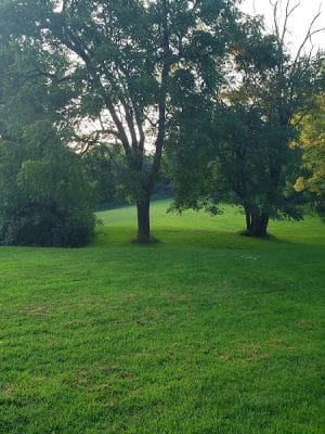 Mingo Creek Dog Park