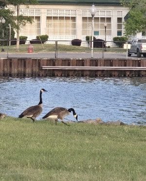 Coast Guard Park
