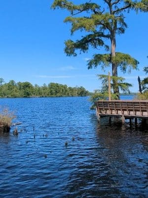 Fenwick-Hollowell Wetlands Trail
