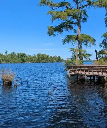 Fenwick-Hollowell Wetlands Trail - Elizabeth City, NC