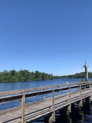 Fenwick-Hollowell Wetlands Trail