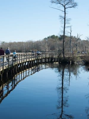 Fenwick-Hollowell Wetlands Trail