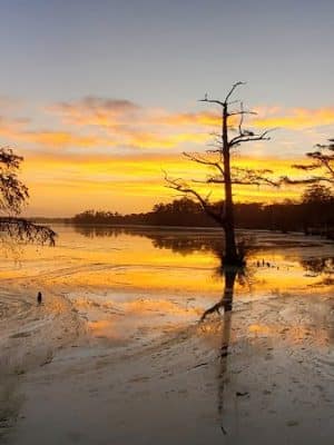 Fenwick-Hollowell Wetlands Trail