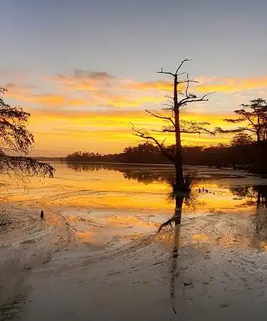 Fenwick-Hollowell Wetlands Trail - Elizabeth City, NC