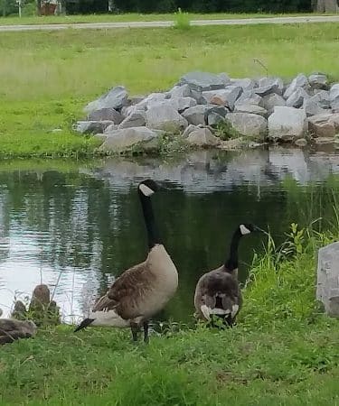 Fish Court Park - Elizabeth City, NC
