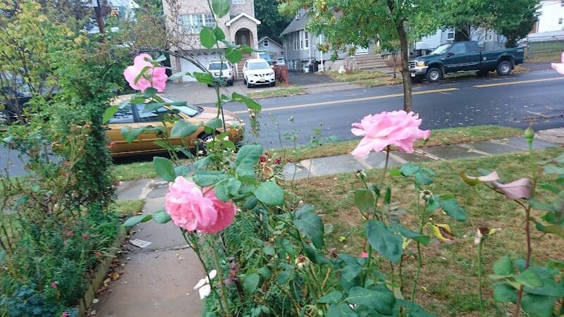 Fairmount Park - Elizabeth, NJ