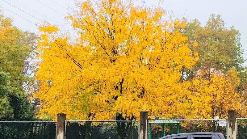 Fairmount Park - Elizabeth, NJ