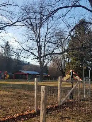 Elmers Dog Park - Ellicottville, NY
