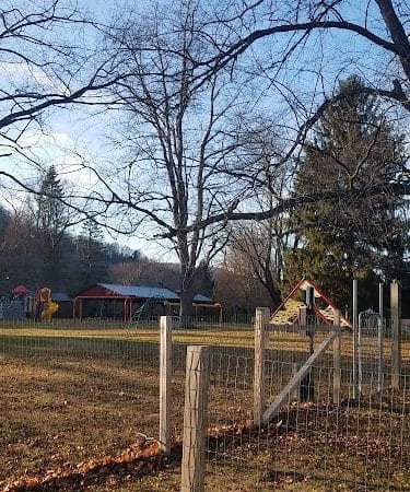 Elmers Dog Park - Ellicottville, NY