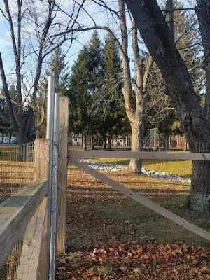 Elmers Dog Park - Ellicottville, NY