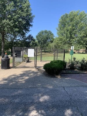Bluebird Dog Park