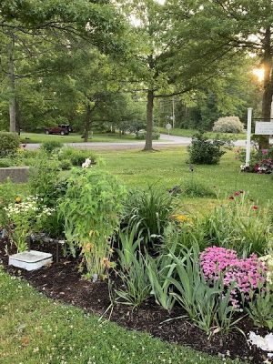 Donald Little Park