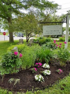 Donald Little Park