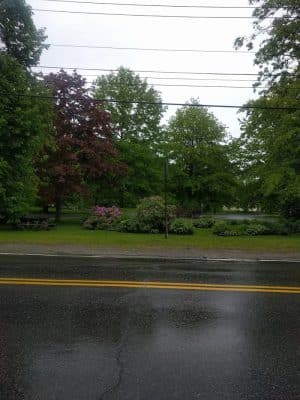 Donald Little Park