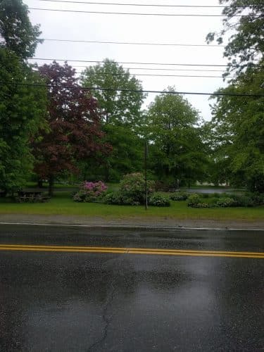 Donald Little Park
