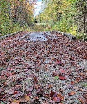 Meadowbrook Forest - Blue Hill Heritage Trust