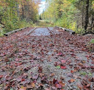 Meadowbrook Forest - Blue Hill Heritage Trust