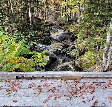Meadowbrook Forest - Blue Hill Heritage Trust