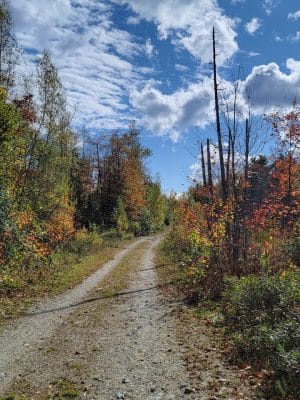 Meadowbrook Forest - Blue Hill Heritage Trust