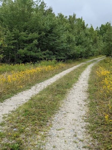 Meadowbrook Forest - Blue Hill Heritage Trust