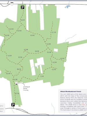 Meadowbrook Forest - Blue Hill Heritage Trust