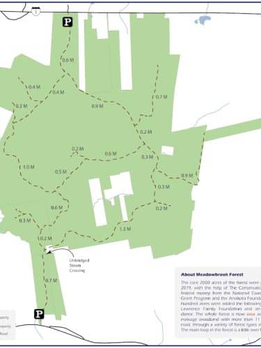 Meadowbrook Forest - Blue Hill Heritage Trust