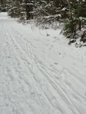 Woodlawn Grounds and Trails