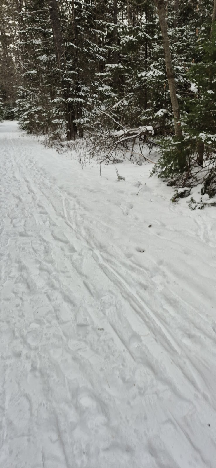 Woodlawn Grounds and Trails - Ellsworth, ME