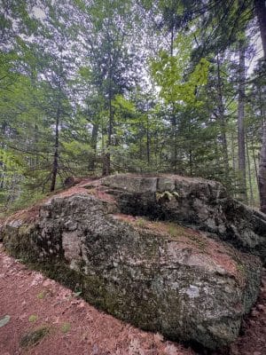 Woodlawn Grounds and Trails