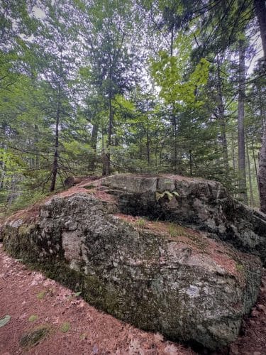 Woodlawn Grounds and Trails