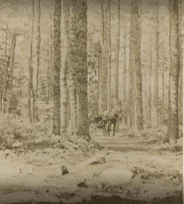 Woodlawn Grounds and Trails - Ellsworth, ME