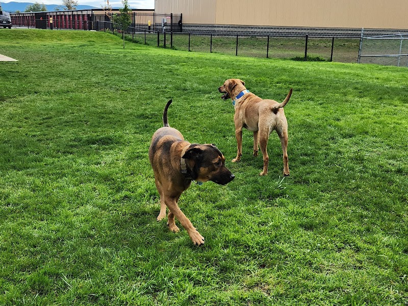 Martin Family Dog Park - Elma, WA