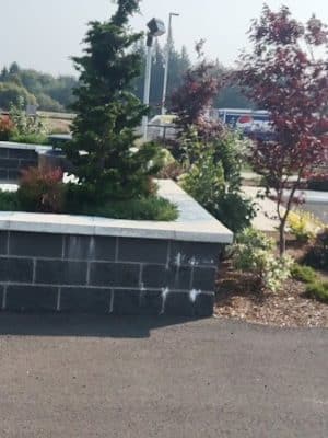 Martin Family Dog Park - Elma, WA