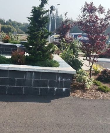 Martin Family Dog Park - Elma, WA