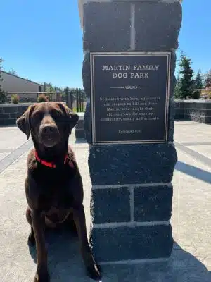 Martin Family Dog Park - Elma, WA