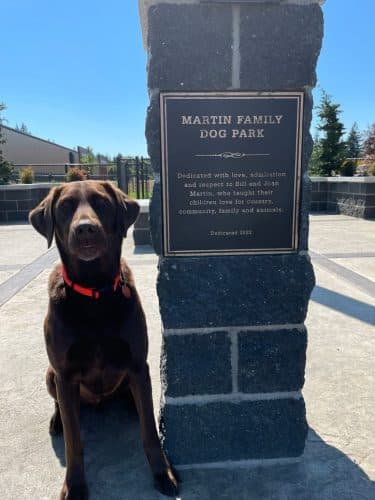 Martin Family Dog Park - Elma, WA