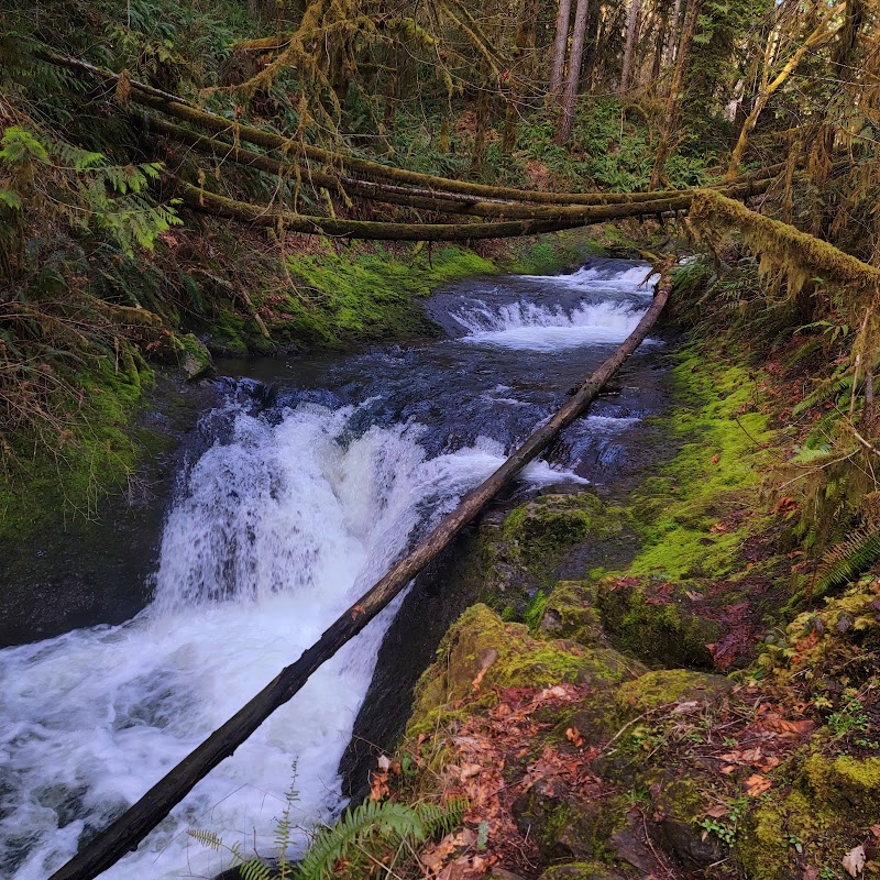 Porter Creek Campground - Elma, WA